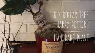 DIY Dollar Tree Harry Potter Mandrake Plant Fourth in the Series