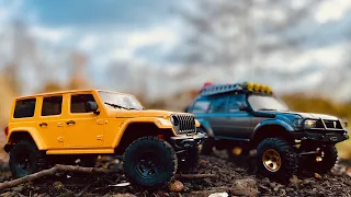 Eachine FMS Toyota Land Cruiser LC80 and Eazyrc Jeep Rubicon 1:18 Scale - having fun in the park