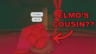 To Completely Crush a Cata (Roblox Pilgrammed)