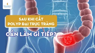 Sau cắt polyp đại trực tràng, cần làm gì tiếp?| PGS.TS Phạm Đức Huấn, BV Vinmec Times City