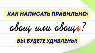 Овощ или овощь — как правильно? Мягкий знак после шипящих на конце имён существительных