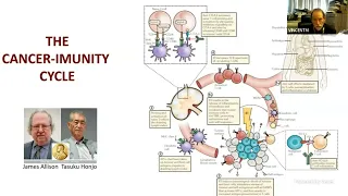 Dr Mark Vincent | Management of NSCLC stage III Evidence and Experience so far