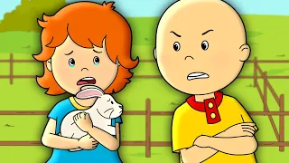 El Conejito de Caillou | Caillou en Español - WildBrain