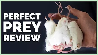 "Perfect Prey" Unboxing & Review