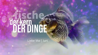 Fische Liebe Mai | Juni: Der Kern der Dinge❤️