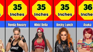 Biggest Breast Size by Female Wrestler | WWE Female Wrestlers Their Breast Size