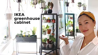 Plant Collection Tour of My Indoor Greenhouse! | Ikea Houseplant Greenhouse Cabinet | Jolene Foliage