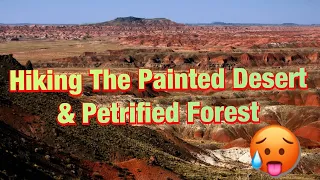 Hiking The Petrified Forest & Painted Desert in Arizona National Park