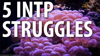 5 INTP Struggles