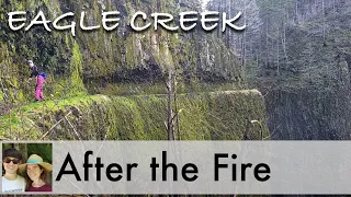 Hiking Eagle Creek after the Fire - Columbia River Gorge, Oregon