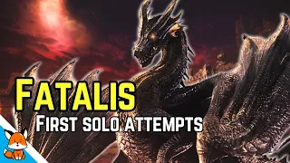 I was determined to take down Fatalis solo. I got carted over 50 times.