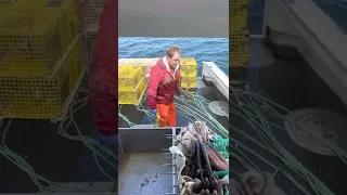 Maine Lobstering 2022