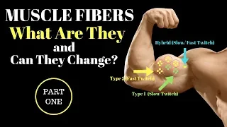 Muscle Fiber TYPES Explained: Part 1