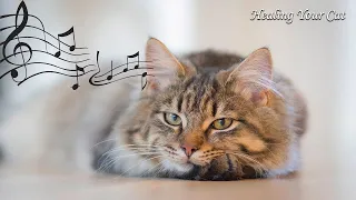 신경계 회복 🌿 고양이를 위한 안티 - 불안 음악 😺 개와 고양이의 심심함을 예방하는 영상