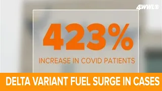 Delta variant fueling surge in covid cases