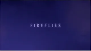 Nick Cave and The Bad Seeds - Fireflies (Official Lyric Video)