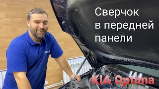 Сверчок в передней панели KIA Optima 2020.