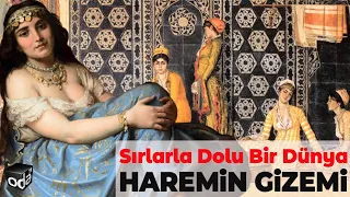 Harem Hangi Padişah Döneminde Teşkilat Haline Geldi? | Sırlarla Dolu Bir Dünya