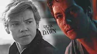 Thomas and Newt • Dusk till dawn