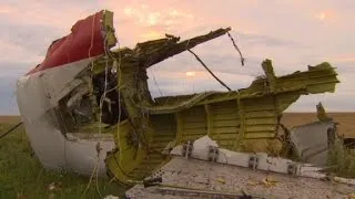 Inside the MH17 crash site