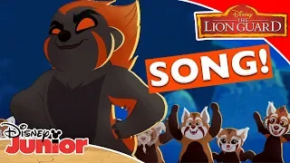 🎵 Ghost of the Mountain | The Lion Guard | Disney Junior UK