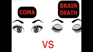 What is the difference between Coma and Brain Death?