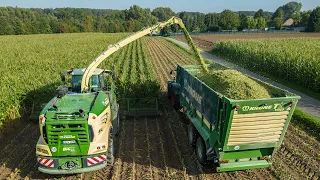 Maize harvest 2023 / Krone Big X 1180 + Fendt + John Deere / LU Willems