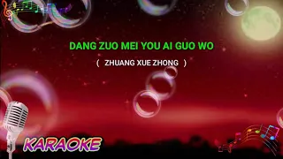 Dang zuo mei you ai guo wo - karaoke no vokal ( zhuang xue zhong ) cover to lyrics pinyin