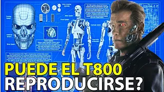 La ANATOMÍA del TERMINATOR T-800 - ¿Pueden los Terminators reproducirse?