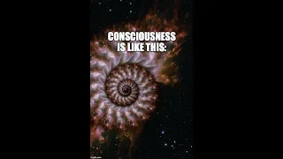 Consciousness as Fractal