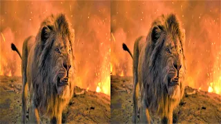 3D Clip: Pride fights Hyenas• The Lion King • 5.1 Audio