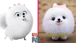 The Secret Life of Pets 2 Characters In Real Life 👉@SONA_Show