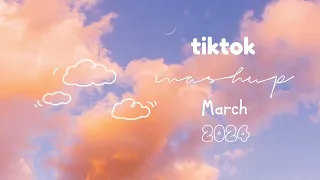 tiktok mashup video