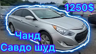 ЕКОНОМ ВАРЯНТО АУКЦИОН США 🇺🇸 Sonata❗️Elantra❗️Sportege❗️Sorento