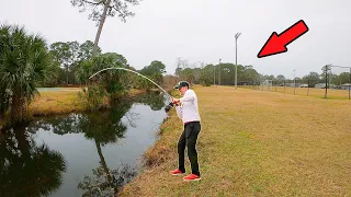 This Tiny Saltwater Canal Had Thousands of Tasty Fish **No Bait Needed**