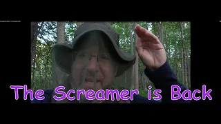 My Bigfoot Story Ep  63 - The Screamer is Back