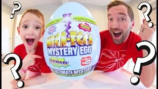 Father & Son OPEN GIANT MYSTERY EGG! / Tons Of Surprise Toys!