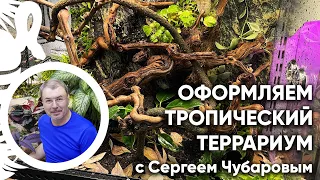 Оформляем тропический террариум на основе EXO TERRA с Сергеем Чубаровым.