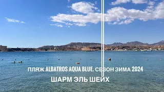 Обзор пляжа, принадлежащего отелю Albatros aqua blue.