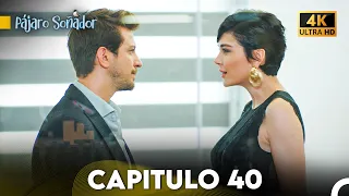 Pájaro Soñador Capítulo 40 (Doblado Español 4K)