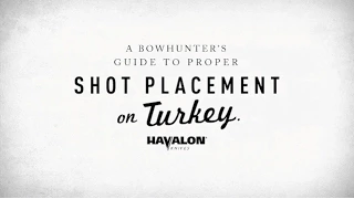 A Bowhunter's Guide to Proper Shot Placement on Turkey, by Tight Lines and Big Tines