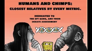 How Similar are Humans and Chimps? Comparative Genetics and Creationist Busting.