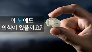 인간이 만들어낸 인공 뇌도 의식을 가지고 있을까? [신박과학]