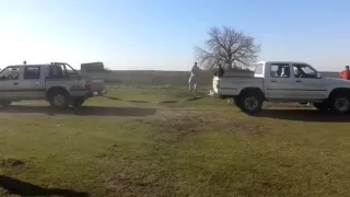 Isuzu vs toyota hilux