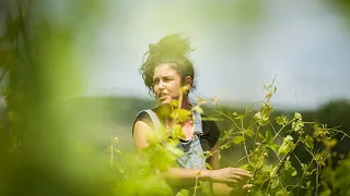 Domaine Fiona Leroy - Les 4 saisons de la vigne