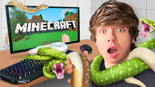 I Beat Minecraft in a Room Filled with Snakes