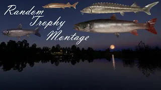 Random Trophy Montage | Russian Fishing 4