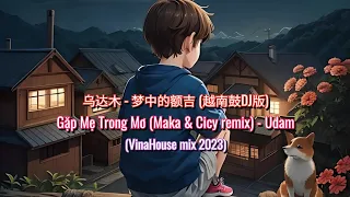 乌达木 - 梦中的额吉 (越南鼓DJ版) | Gặp Mẹ Trong Mơ (Cicy & Maka remix) - Udam | VinaHouse mix 2023