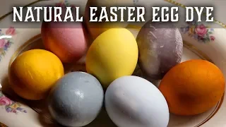 How to Dye Your Easter Eggs Naturally!