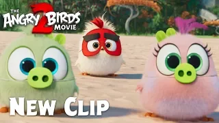 The Angry Birds Movie 2 - Clip: Hatchling Eggs